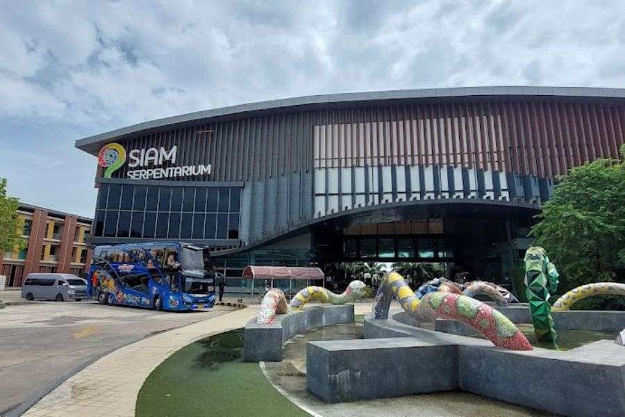 Giá thuốc rắn Sir Ying Wan Thái Lan chính hãng Siam Park 2025-2026 1 trung-tam-thuoc-ran-siam-park-thai-lan